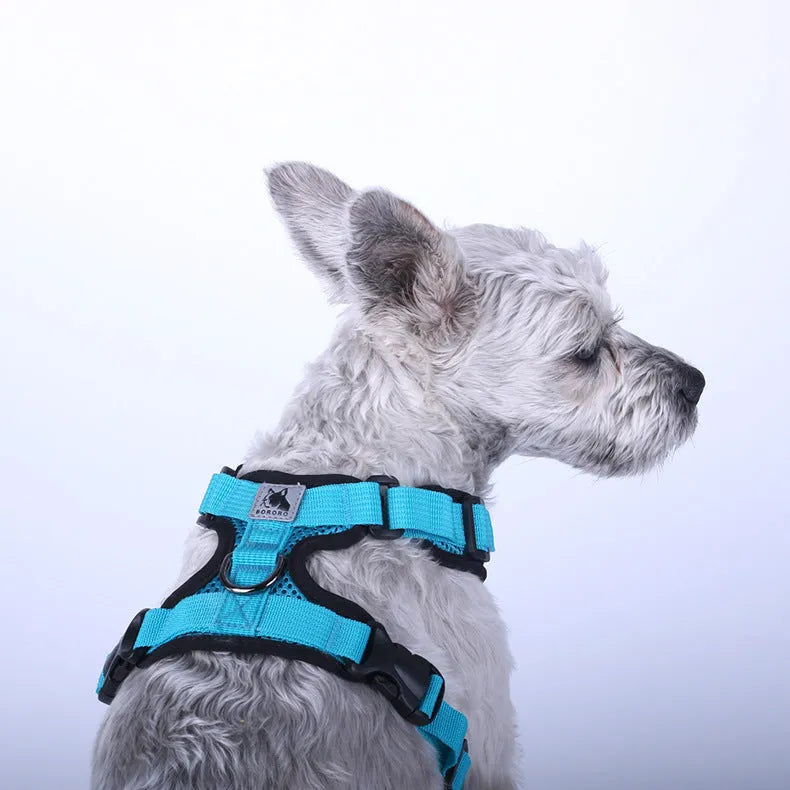 Mesh I-shaped reflective dog harness in blue with polyester rope on white background
