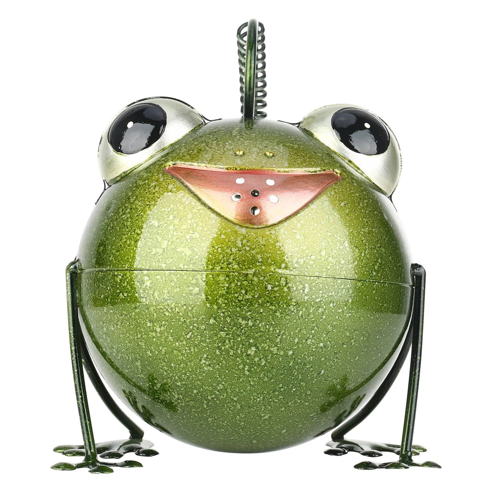 Creative cartoon iron frog watering pot wrought iron garden home decoration novelty watering can
