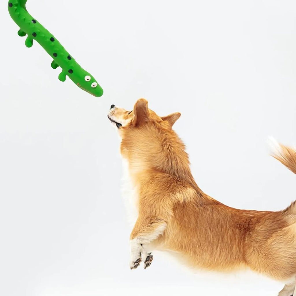 Green lizard-shaped dog chew toy with squeaker function for dental play