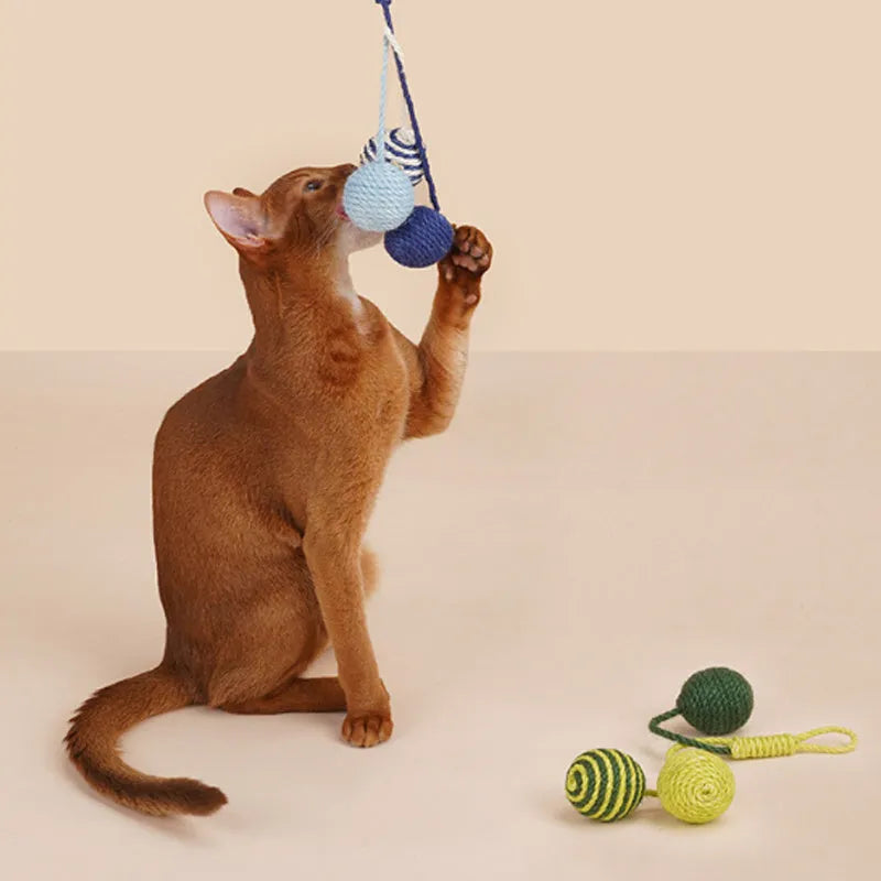 Bite-resistant cat teaser wand set with colourful attachments and catnip ball on a blue background