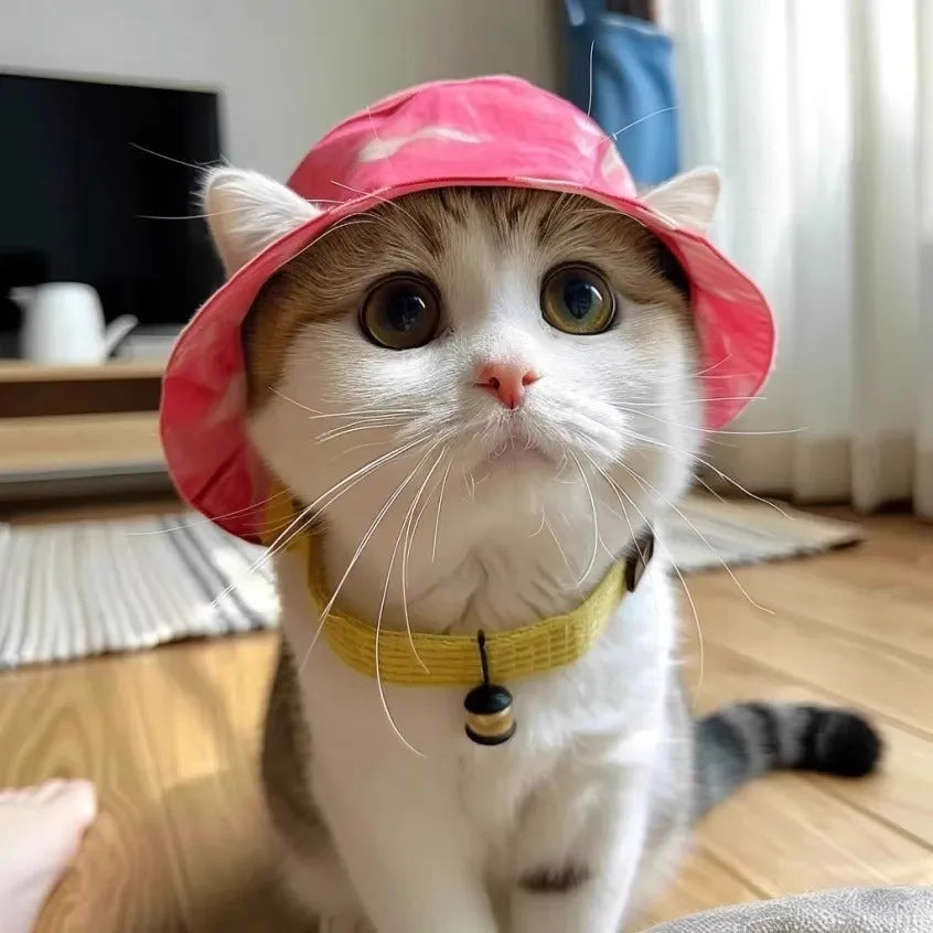 Cotton pet bucket hat with exposed ears in summer lemon yellow with colour grid pattern
