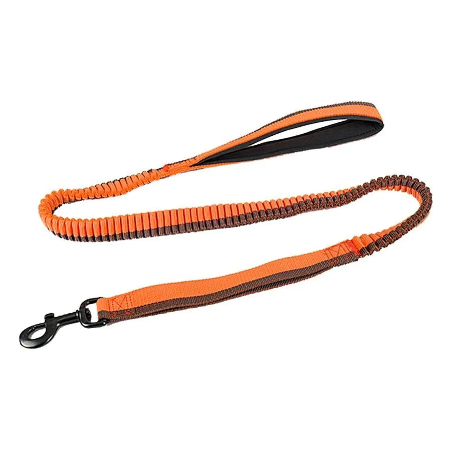 Green anti-violence dog training leash with elastic shock-resistant design and metal clip