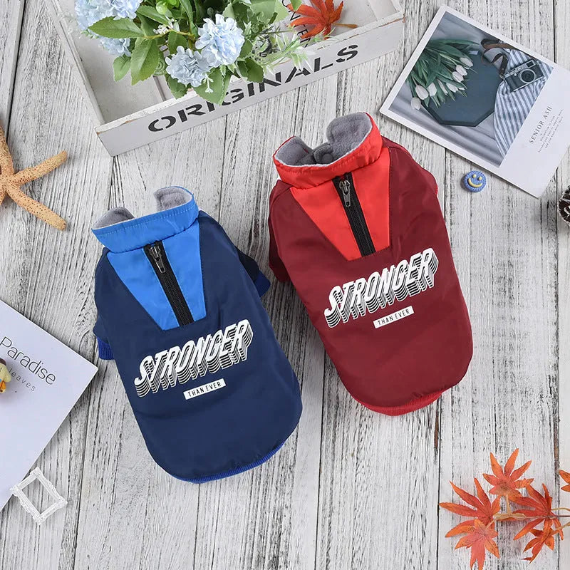 Red cotton dog coat with V-shaped front splicing design on a pet
