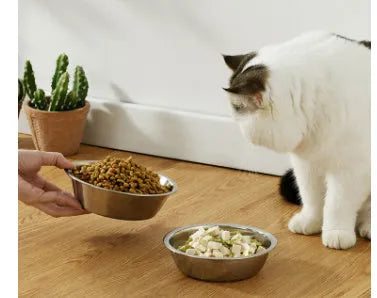 Stainless steel pet bowl in five sizes from 13cm to 22cm for cats and dogs.