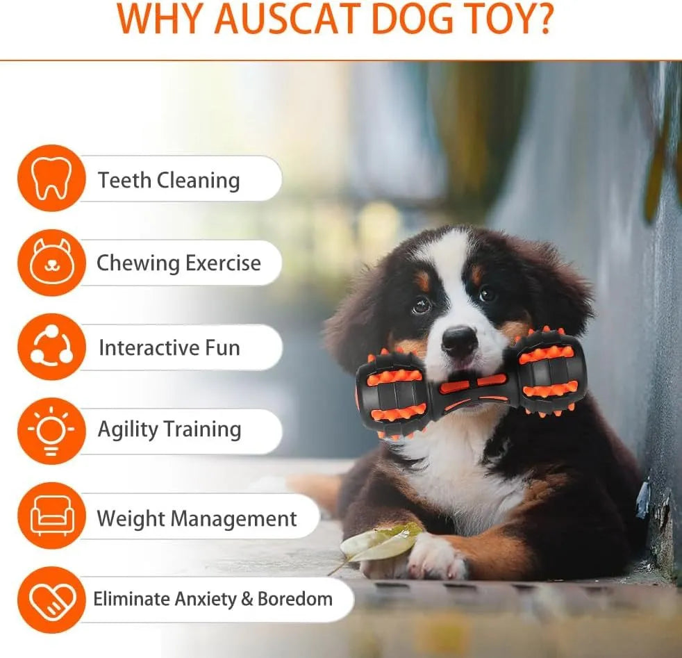 Red dumbbell-shaped durable rubber dog toy with squeaker for aggressive chewers.
