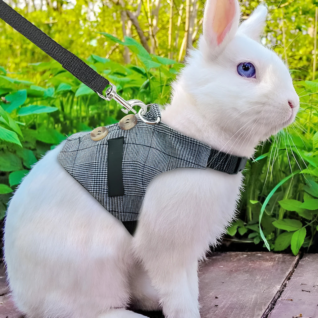 Grey cloth rabbit leash and dress set with chest strap for small pets
