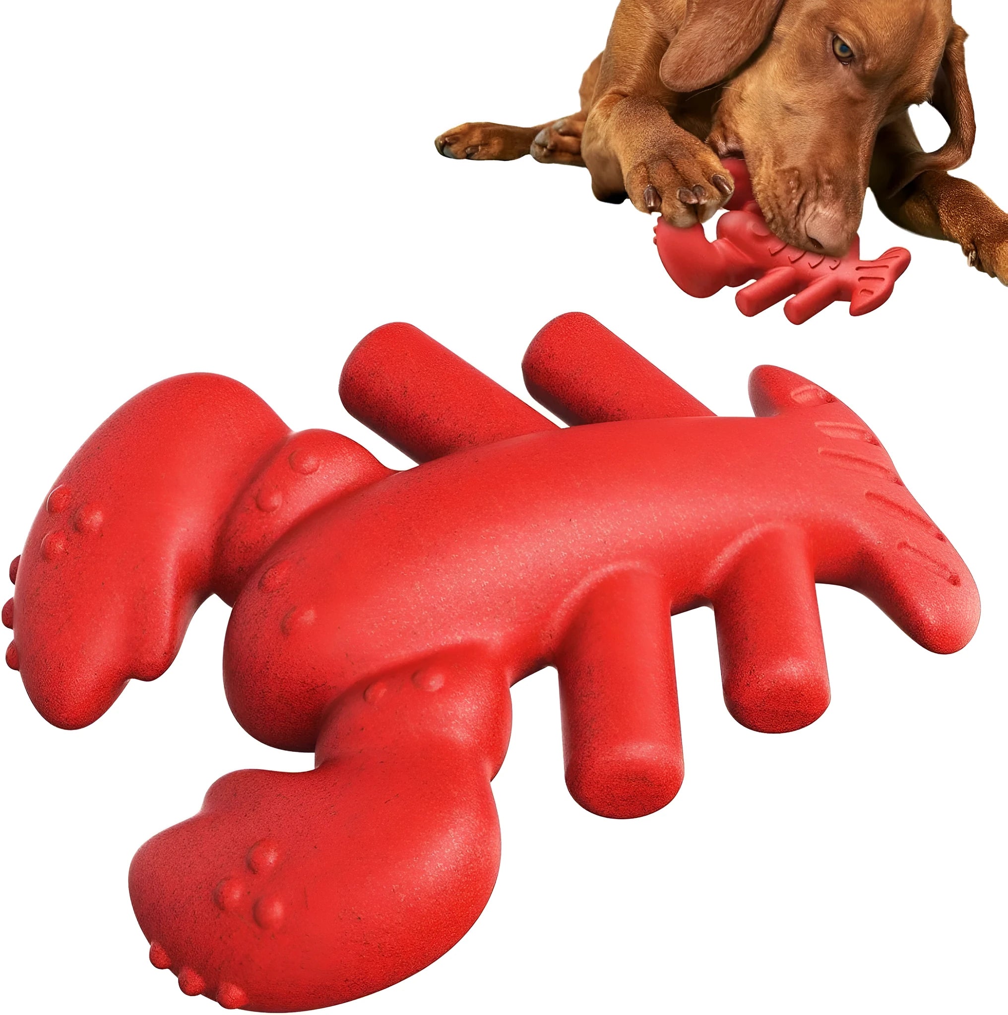 Red large hard dog chew toy for aggressive chewers and big breeds on a white background.