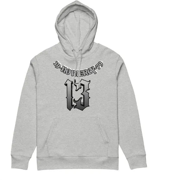 Hooded fleece-lined pullover sweater in loose fit, shown in available colour options