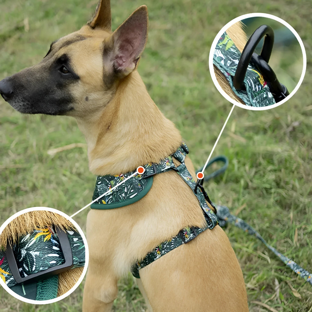 Adjustable cloth pet harness set with leash, collar, waste bag, bow tie, and scarf in six coordinated pieces