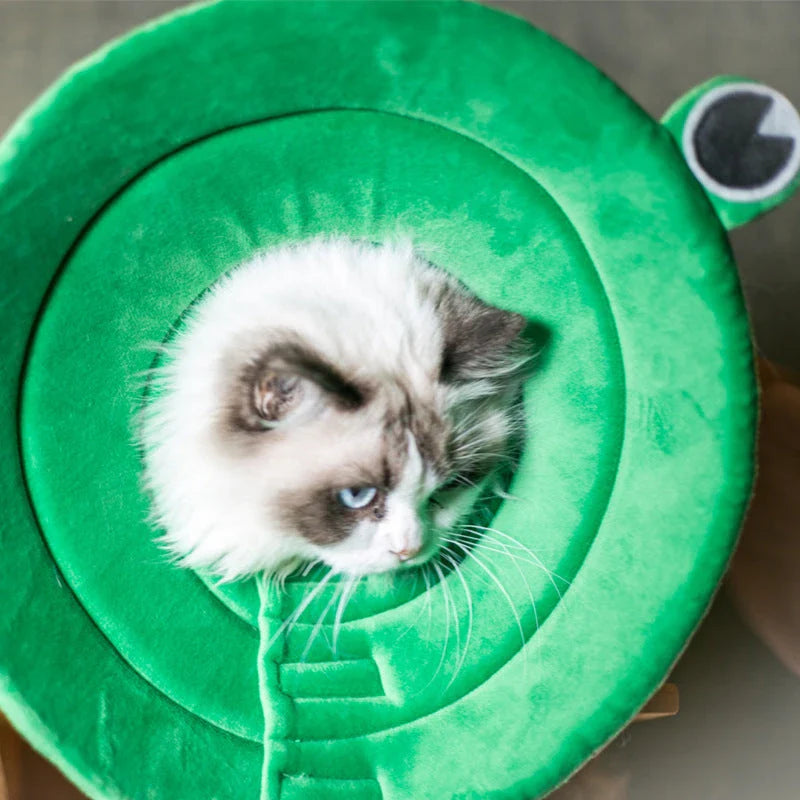 Cozy Recovery Collar with Cartoon Frog Design for Dogs and Cats