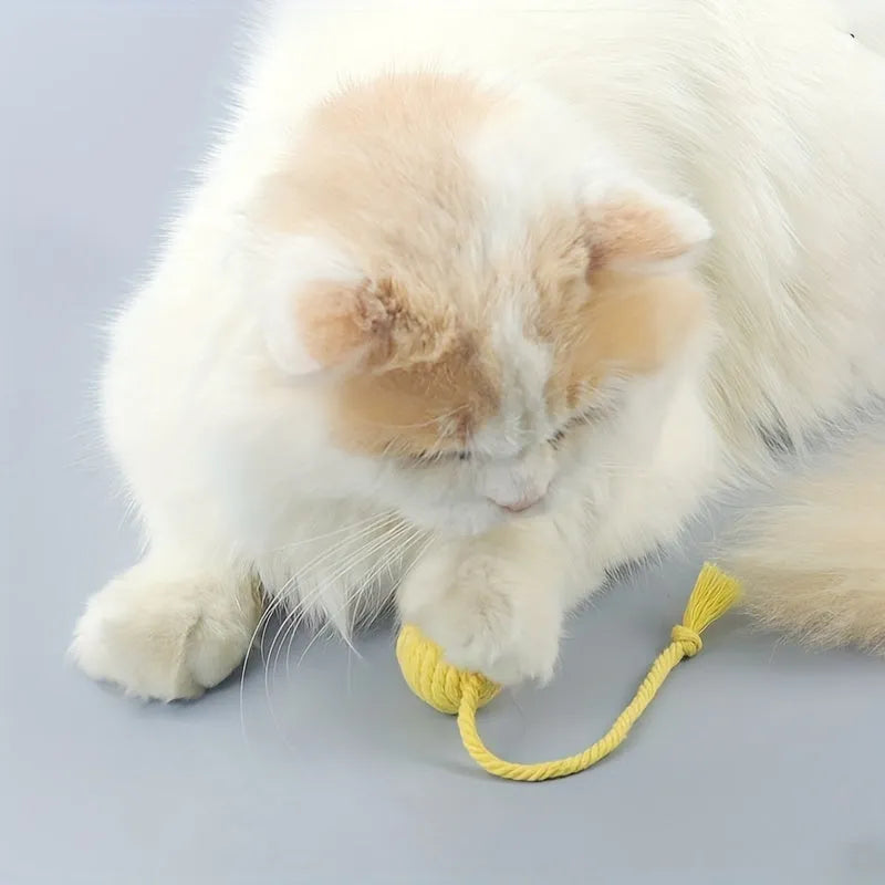 Coloured cat toy ball with rope handle and internal bell in 6cm or 3cm sizes