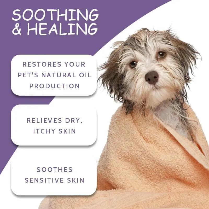 100g pet shower gel bottle with sterilisation and deodorising properties in plastic packaging