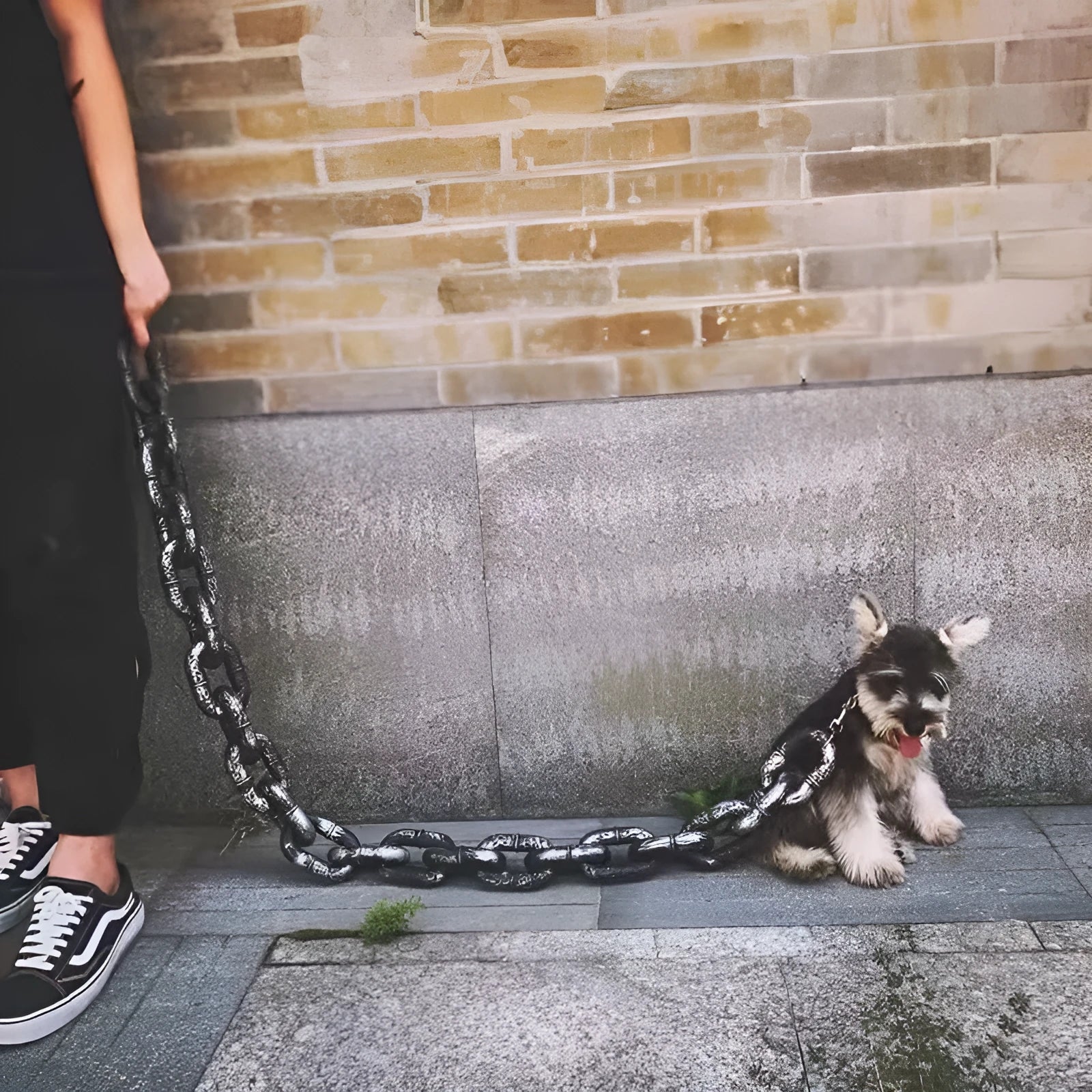 Simulation dog leash prop in antique silver, bronze, and black colours for video content creation.