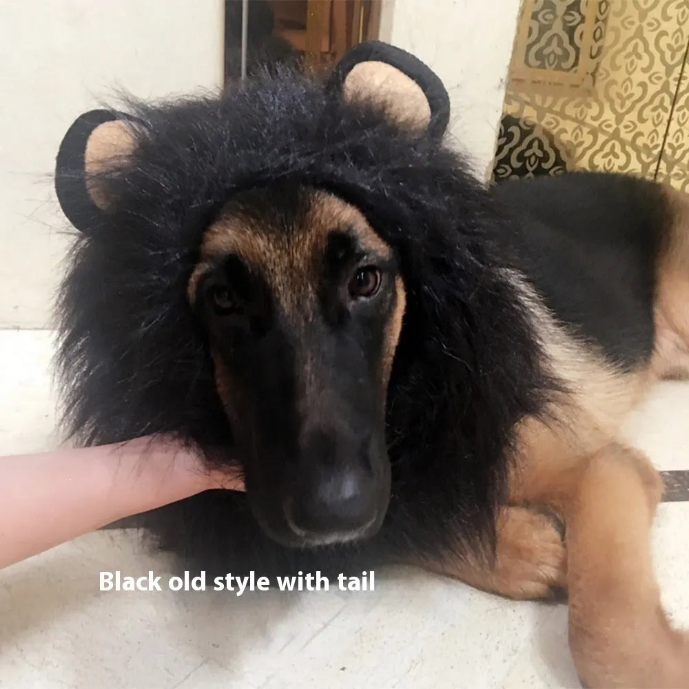 Brown dog wearing an adjustable lion mane wig costume with elastic band