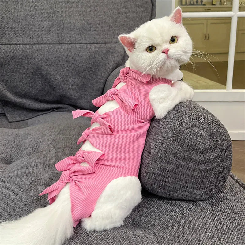 Adjustable lace-up polyester recovery suit for a cat after spaying surgery, shown in blue.