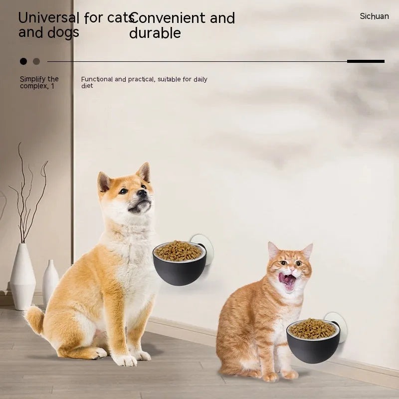 Magnetic pet bowl cat and dog feeder with stainless steel inner, white colour, on floor