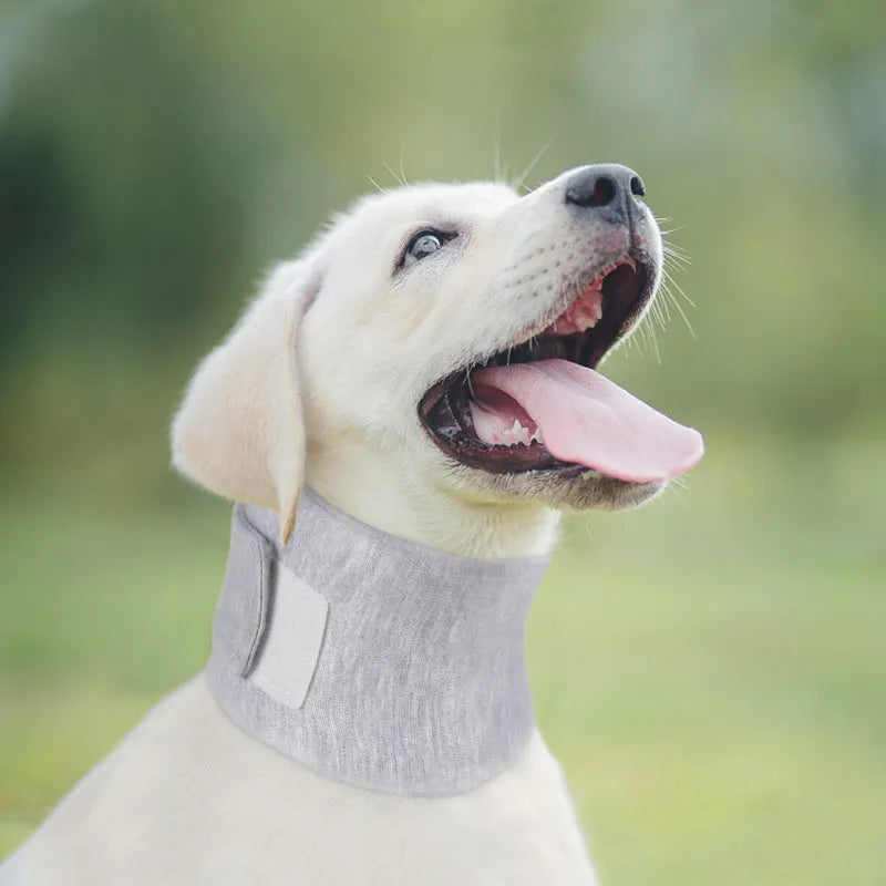 Soft cat cone recovery collar in grey or pink with four size options for post-surgery protection