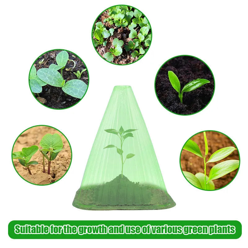 Reusable square bell jar plastic plant cover protecting a young plant in garden soil