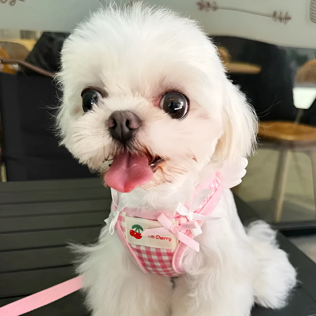 A pink cotton chest and back harness with a hand holding rope for a small dog.