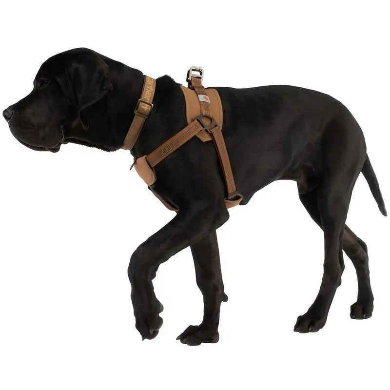 Dog chest strap training belt with reflective hand holding rope measuring 1.8 metres