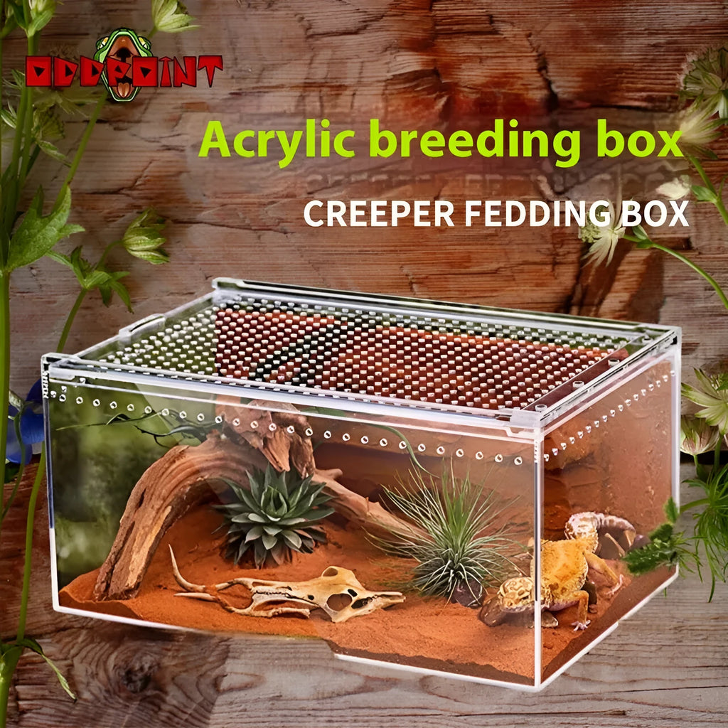 Transparent acrylic reptile feeding box showing dimensions and clear construction for crawler pets
