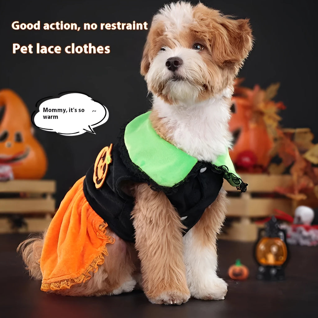 Halloween pet costume showing pumpkin skirt and sweater options in crystal velvet material for dogs and cats