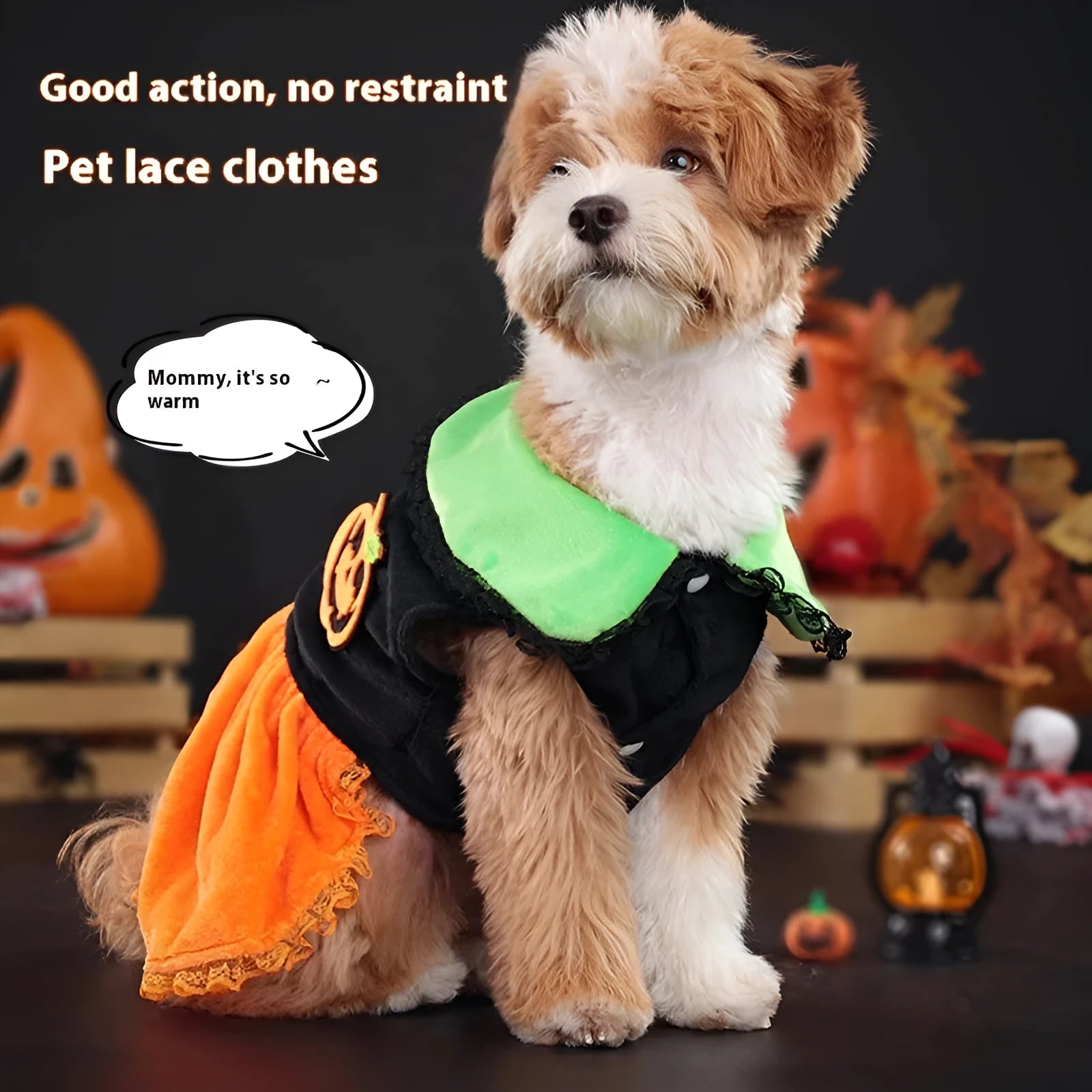 Halloween pet costume showing pumpkin skirt and sweater options in crystal velvet material for dogs and cats