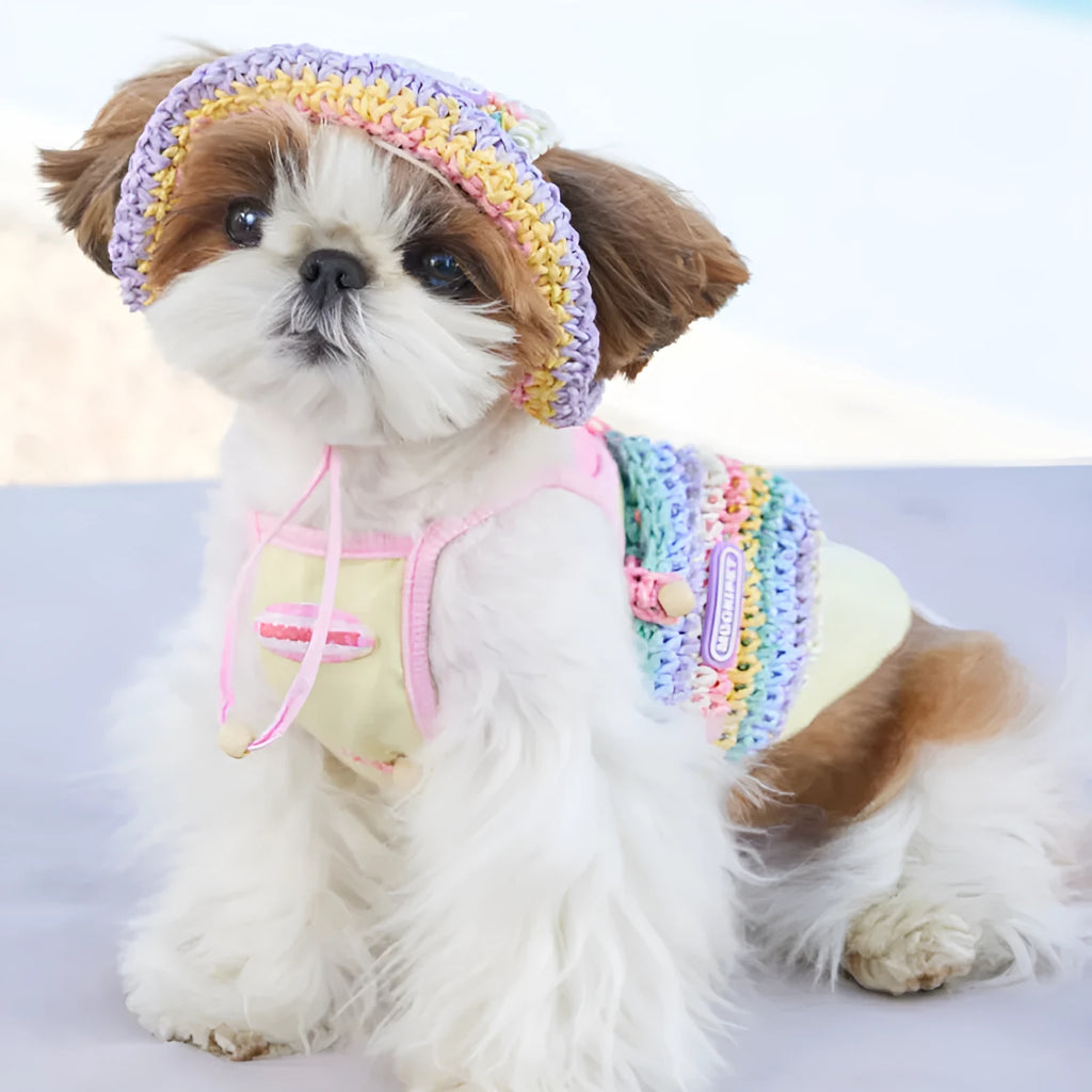 Small dog woven sun hat in 100% paper summer style for Yorkshire Bichon breeds