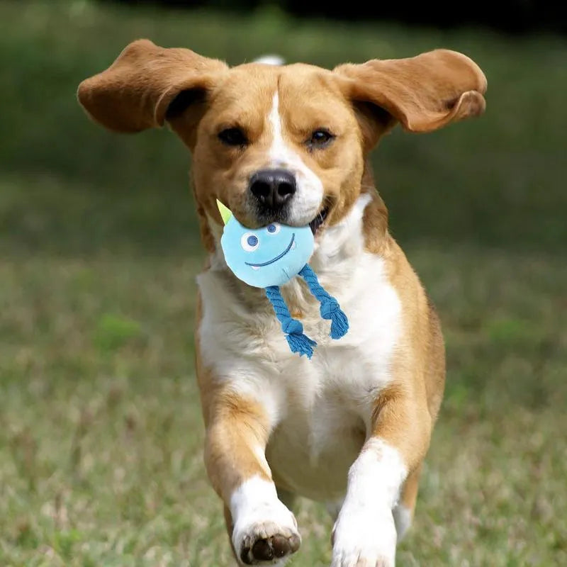 Dog squeaky toy with knot design in cotton rope, available in yellow or blue colours