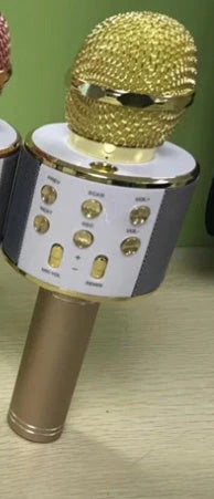 Wireless Microphone Bluetooth Mini Home KTV Speaker with optional lights