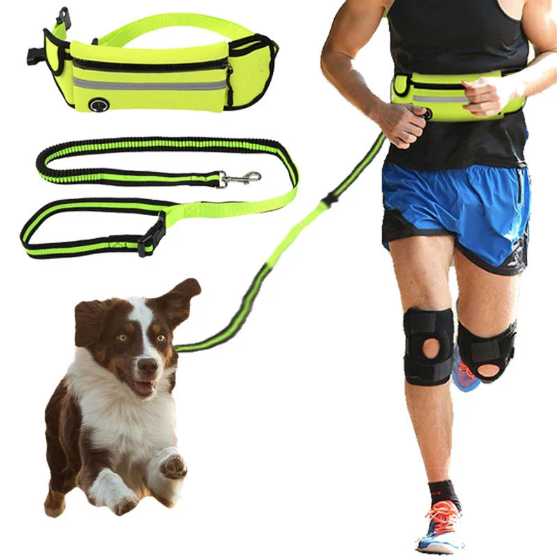 Waterproof reflective pet running waist bag with adjustable traction rope
