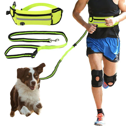 Waterproof reflective pet running waist bag with adjustable traction rope