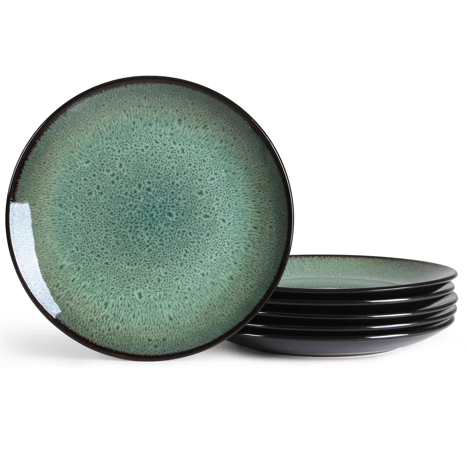 Set of 6 ceramic plates for steak, salad, and more, microwave and dishwasher safe