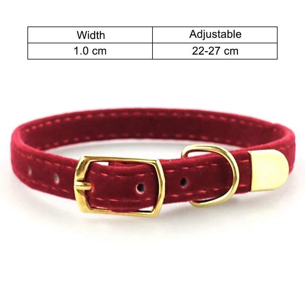 Soft flocking cat collar for small to medium cats in Blue colour on a white background