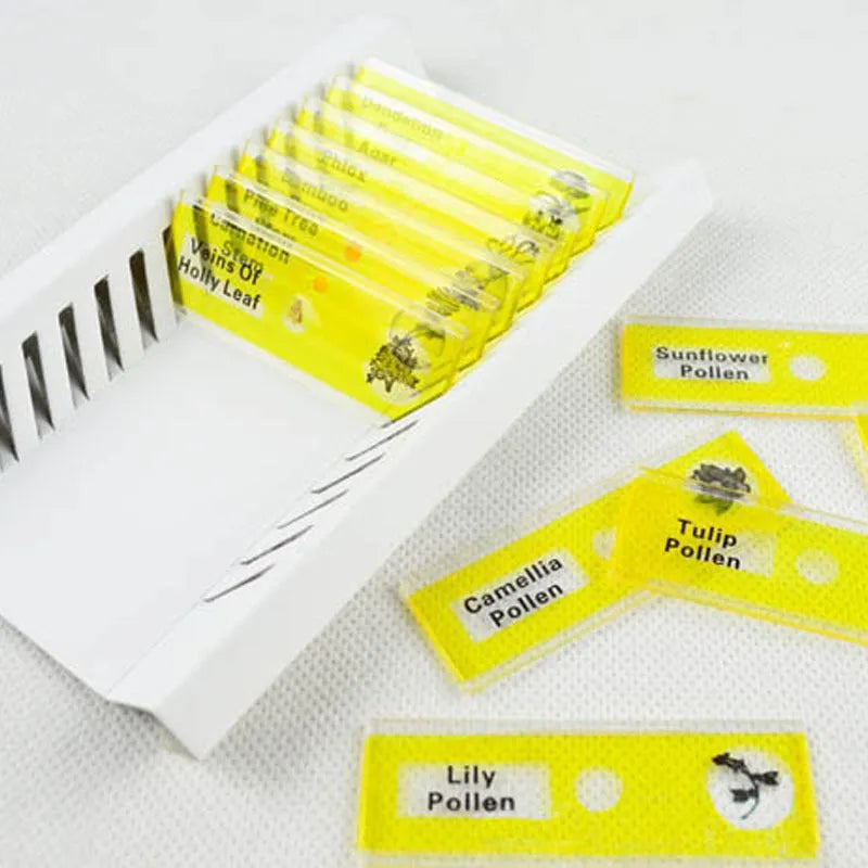 48 plastic microscope slides with plant and animal specimens in colour-coded boxes for children's science observation