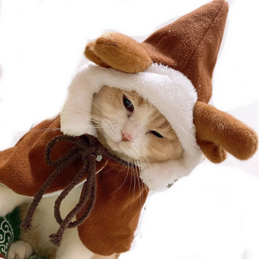 Red cloth cloak shawl on a small dog, showing festive pet clothing.