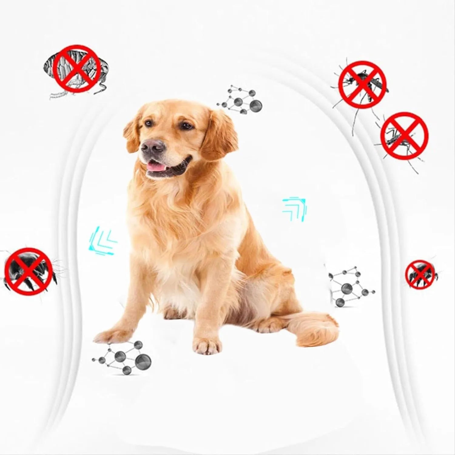 Double-sided plastic flea comb for pets showing dense teeth on one side and standard teeth on the other.