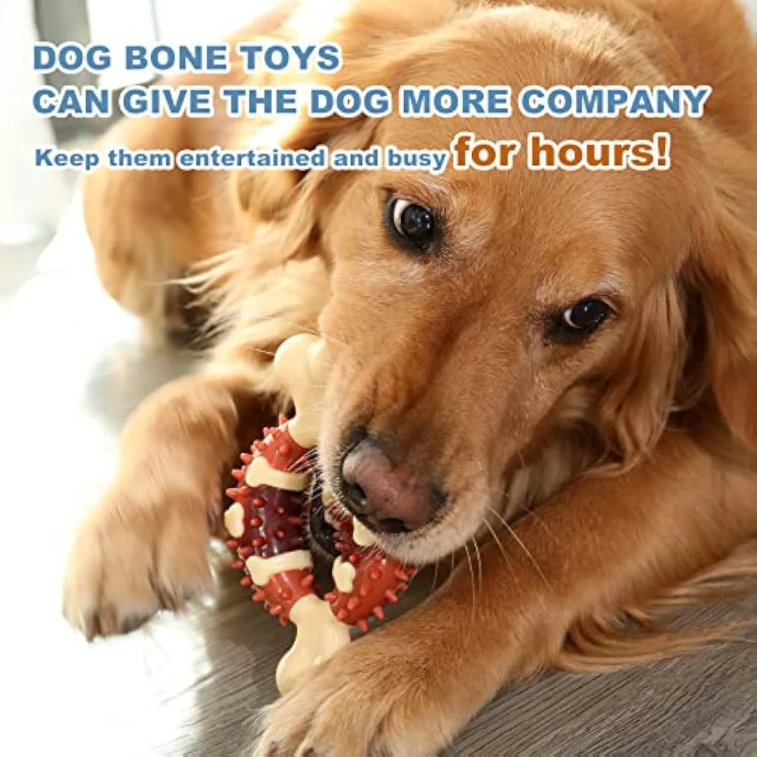 Natural rubber bone-shaped dog chew toy for dental health and anxiety relief in two sizes