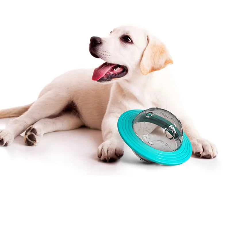Missing food educational toy in Lake Blue plastic with leak-feeding hole for dogs and cats