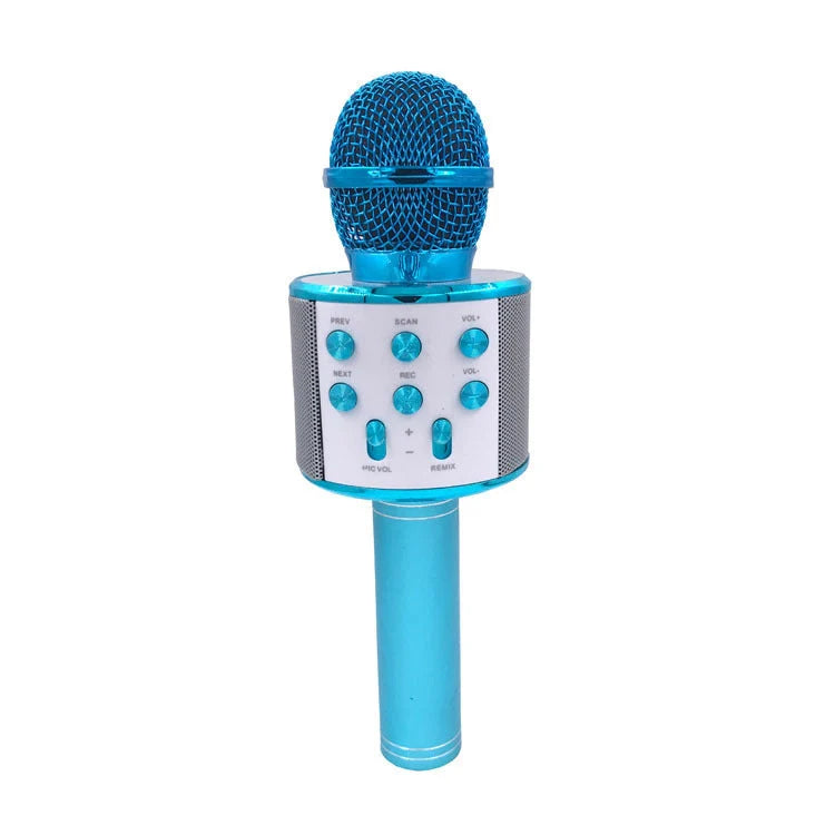 Wireless Microphone Bluetooth Mini Home KTV Speaker with optional lights