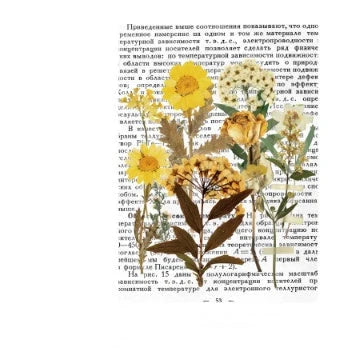 Herbarium series DIY plant stickers pack of 10, featuring durable pet+art paper and white ink designs