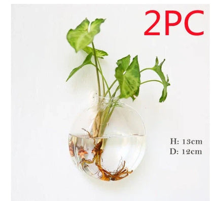 Elegant wall-mounted glass flower vase terrarium with various shapes and designs for home decor and indoor gardening