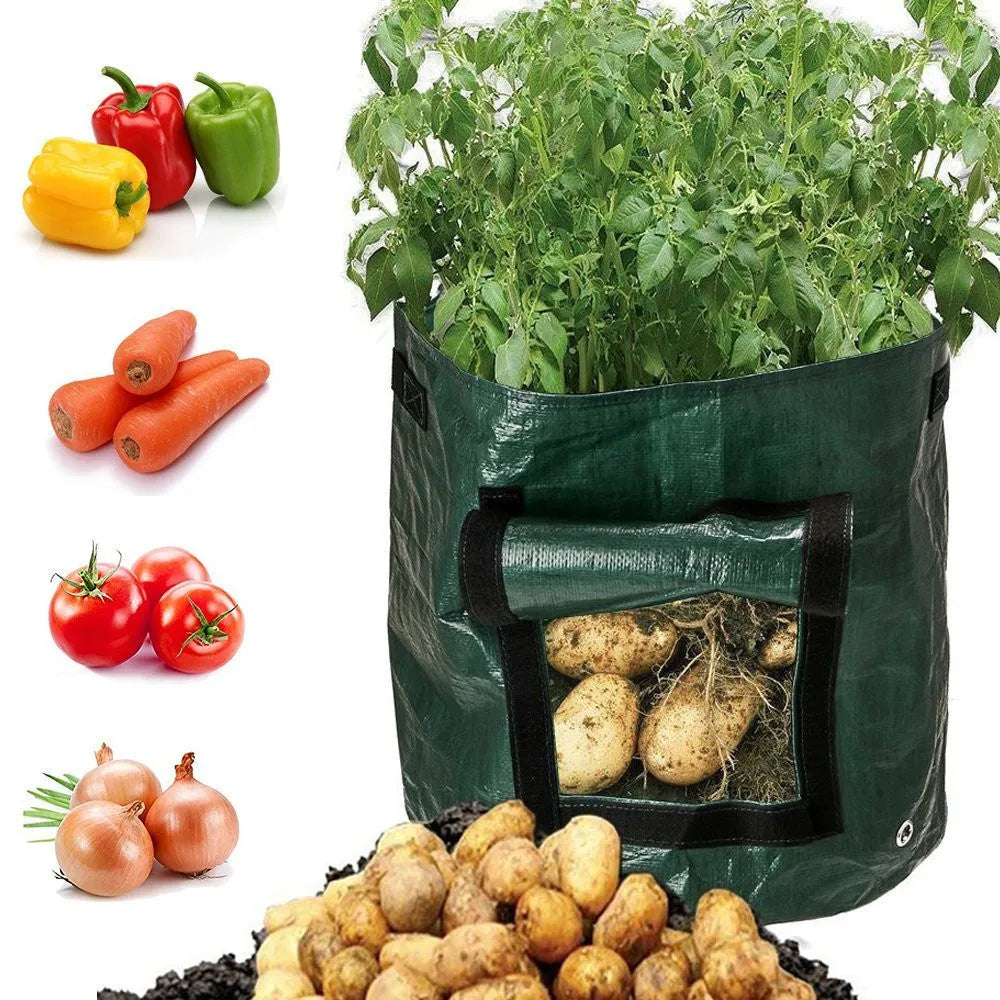 Dark green PE cloth garden planting bag with side windows and double handles on a balcony