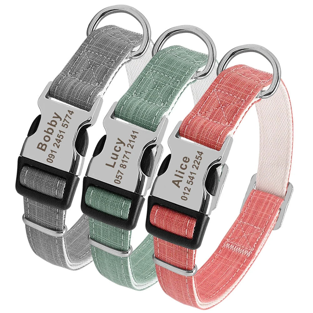 Custom dog collar with engraved tag in vibrant colours, adjustable for medium to large breeds