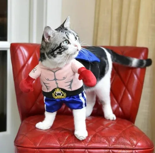Blue boxer cat costume for cats in size S to XL made from polyester