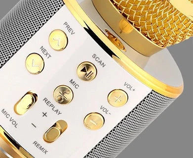 Wireless Microphone Bluetooth Mini Home KTV Speaker with optional lights