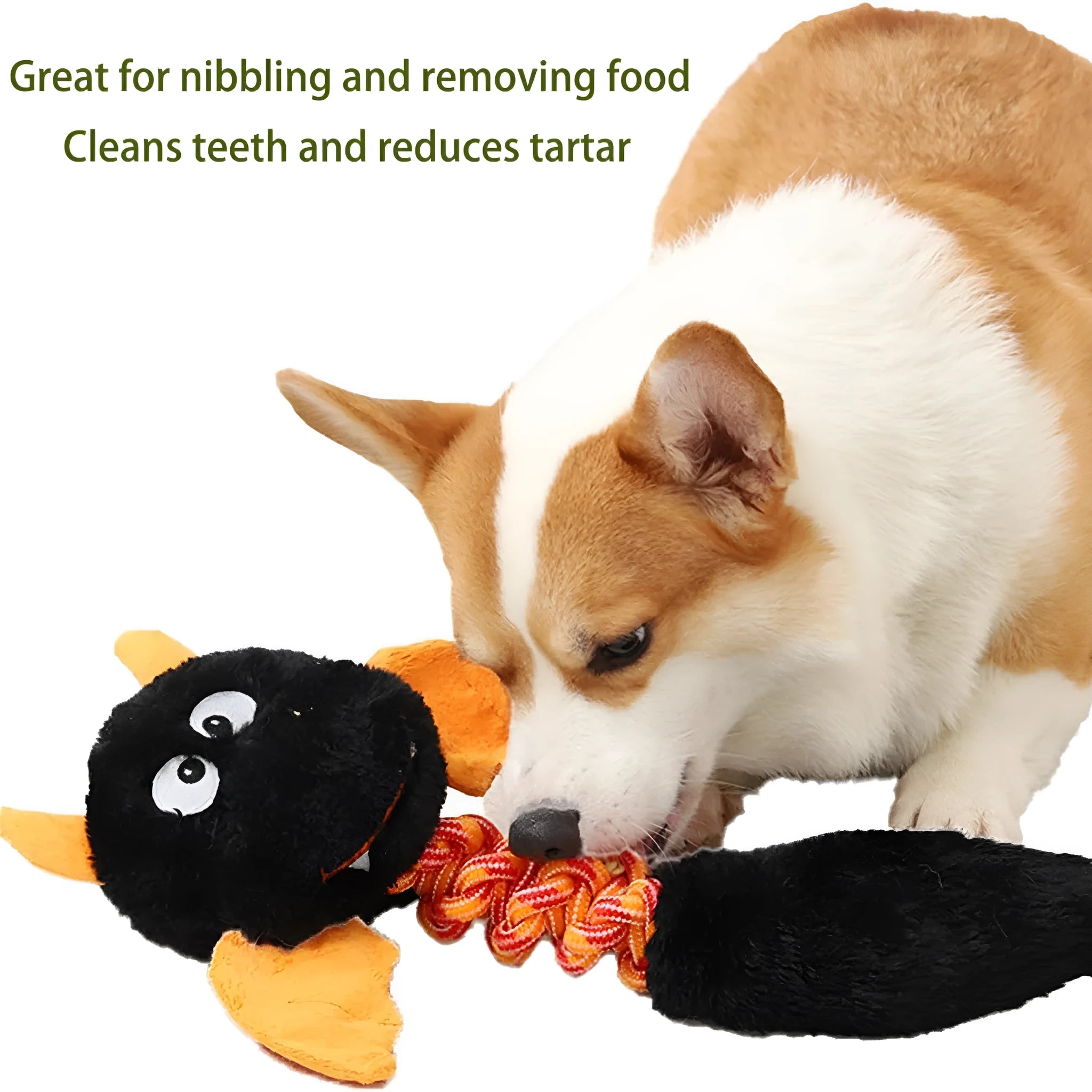 Interactive plush dog toy with squeaker and crinkle paper in black, green, or red, measuring 44cm.