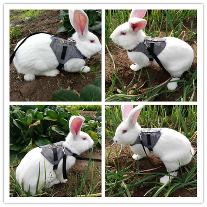 Grey cloth rabbit leash and dress set with chest strap for small pets