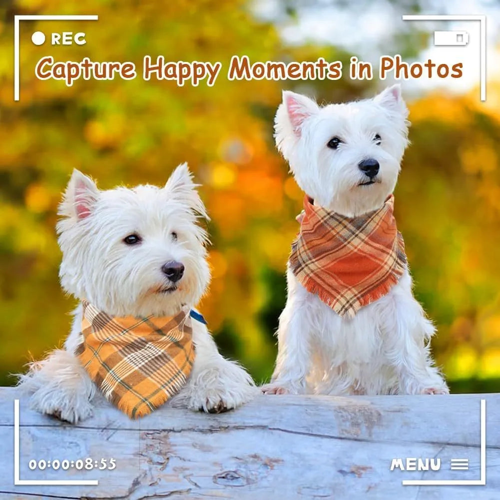 Classic plaid dog bandana with tassel edges in autumn colours on canine