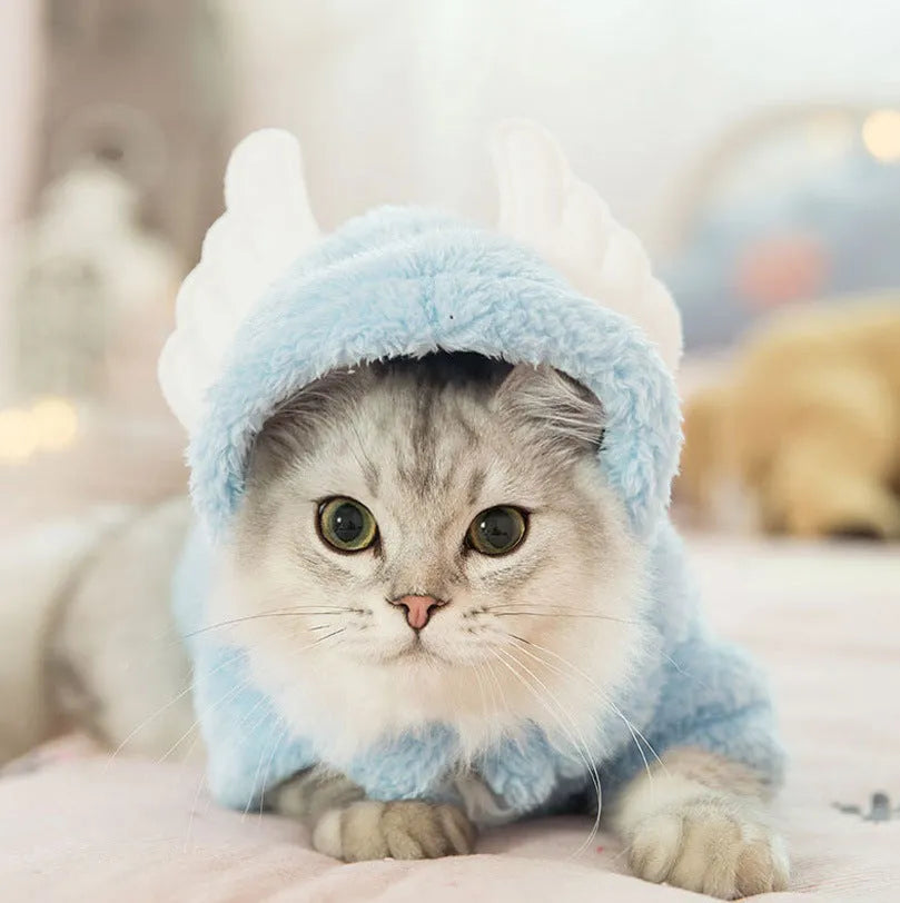Funny cat clothes cotton pet outfit with cute pink rabbit design on a white background